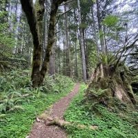 Mill Creek Campground ico
