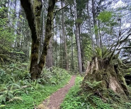 Mill Creek Campground