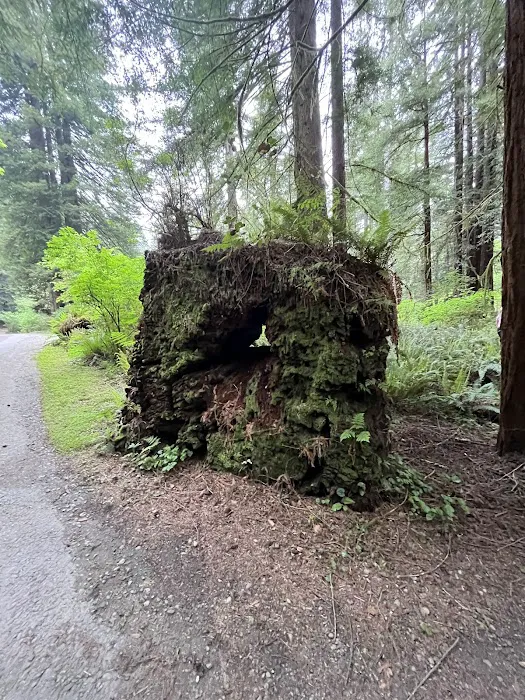 Mill Creek Campground Picture 10