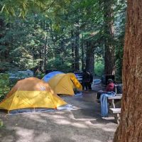 Mill Creek Campground ico