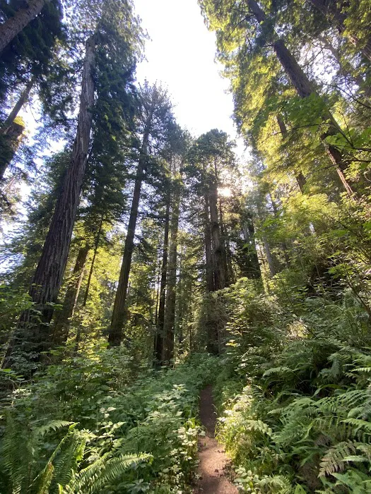 Mill Creek Campground Picture 3