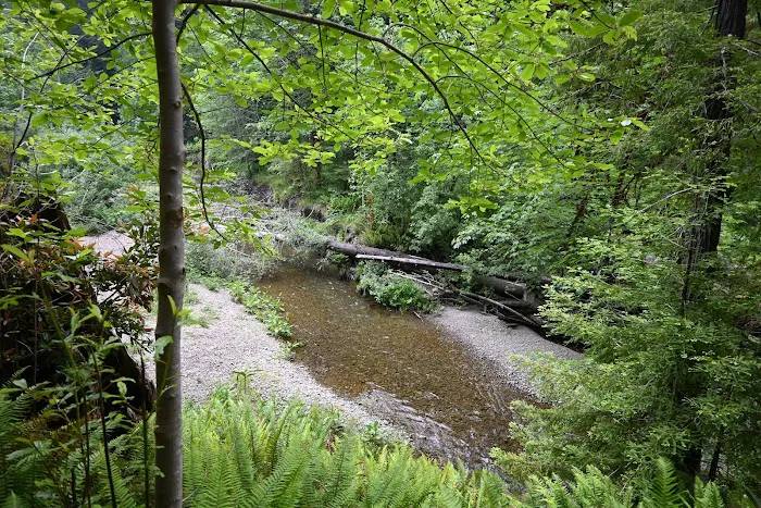 Mill Creek Campground Picture 9