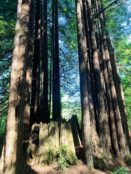 Mill Creek Campground Picture 2
