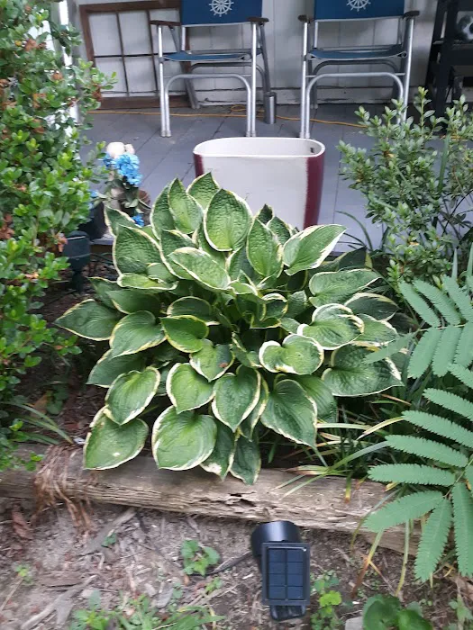 Fawn Court Estates Mobile Home & RV Rental Park Picture 3