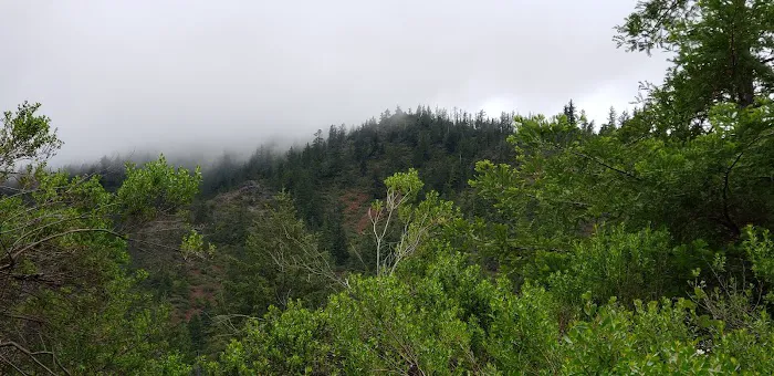 Grassy Flat Campground Picture 7