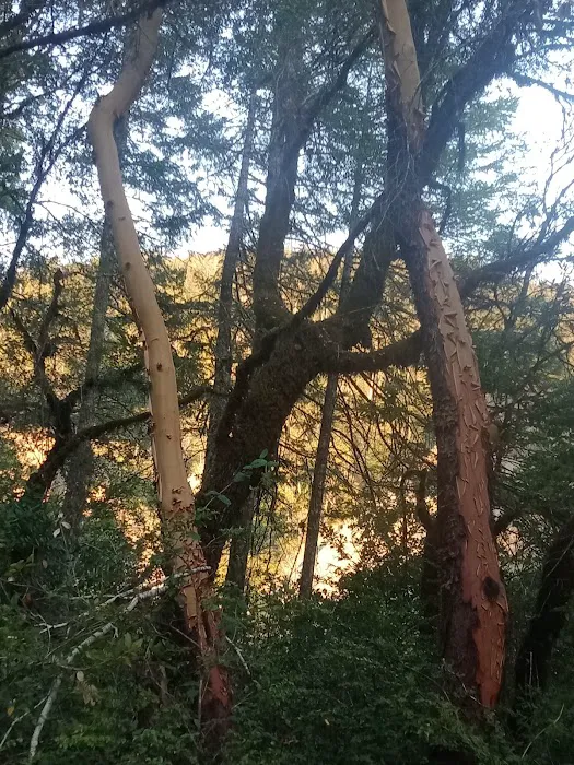 Grassy Flat Campground Picture 5