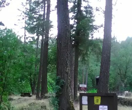 Fort Goff Campground