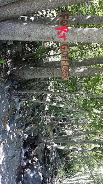Fort Goff Campground Picture 6