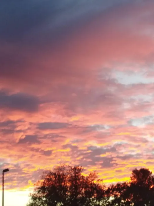 Trailer Park Picture 4