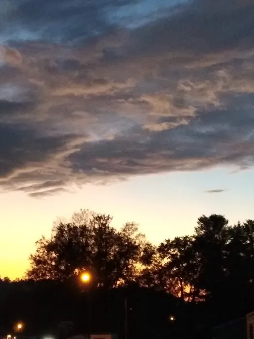 Trailer Park Picture 1