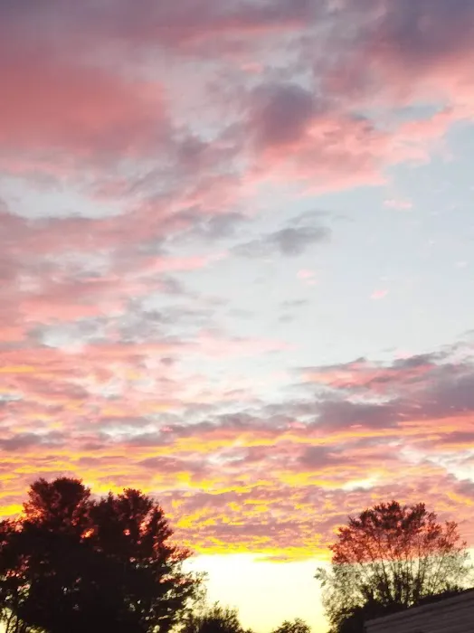 Trailer Park Picture 2