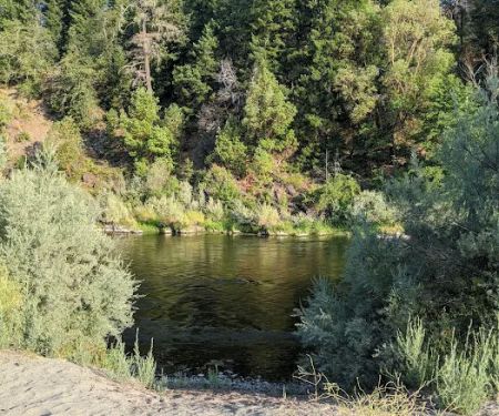 USFS Curly Jack Campground