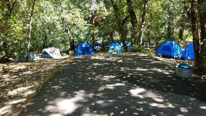 USFS Curly Jack Campground Picture 6