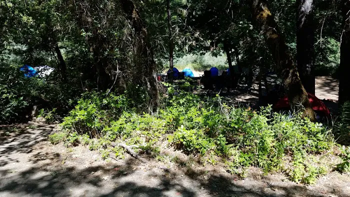 USFS Curly Jack Campground Picture 7