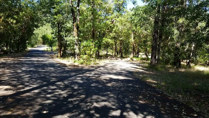 USFS Curly Jack Campground Picture 5