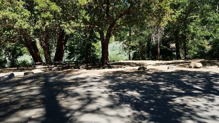 USFS Curly Jack Campground Picture 4