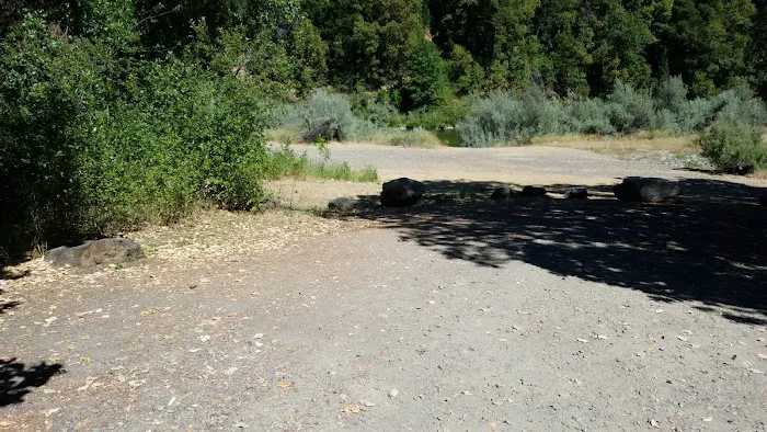 USFS Curly Jack Campground Picture 8