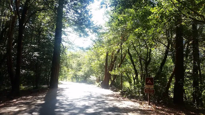 Patrick Creek Campground Picture 4