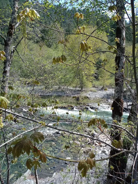 Patrick Creek Campground Picture 1