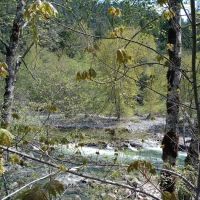 Patrick Creek Campground ico