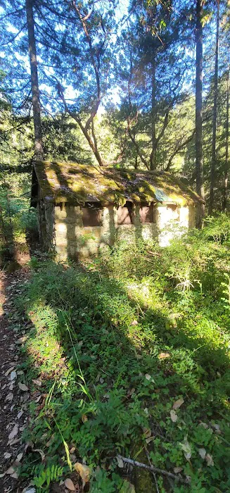 Patrick Creek Campground Picture 5
