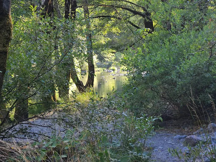 Patrick Creek Campground Picture 8