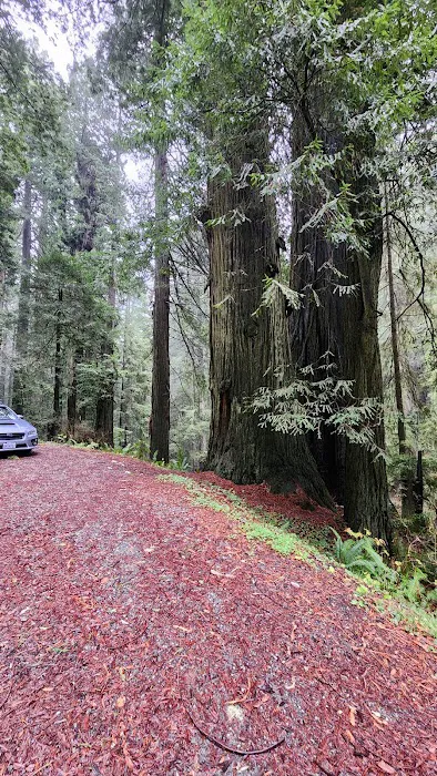 DeMartin Backcountry Camp Picture 2