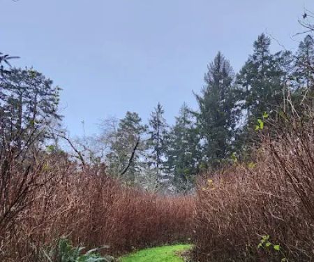 DeMartin Backcountry Camp