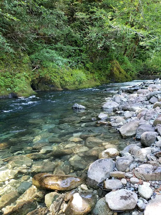 Big Flat Campground Picture 1