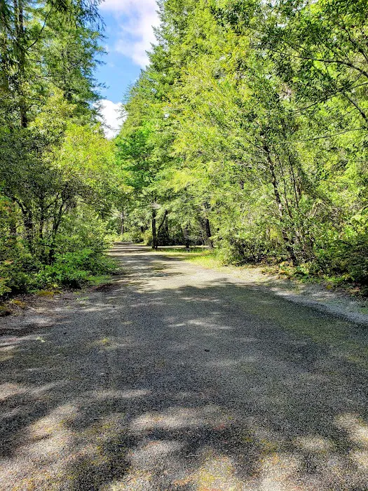 Big Flat Campground Picture 5