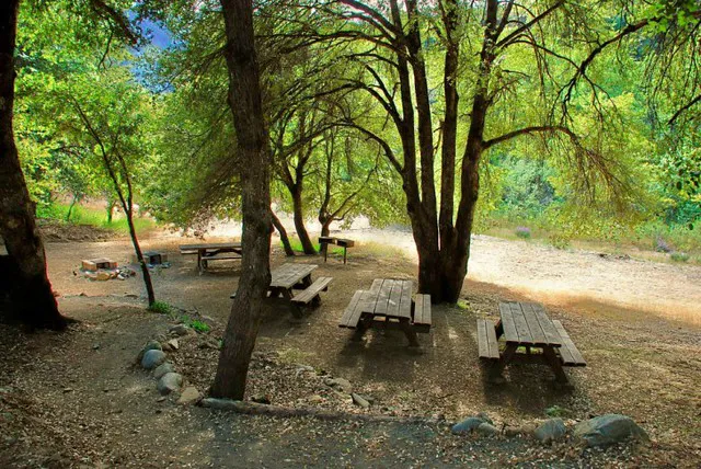 Sarah Totten Campground Picture 3
