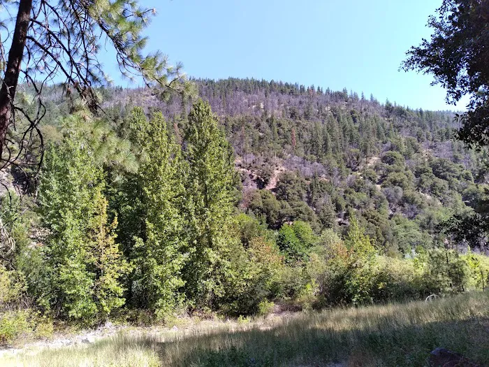 Sarah Totten Campground Picture 8