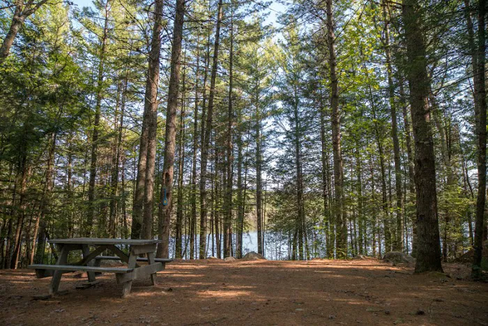 Sarah Totten Campground Picture 7