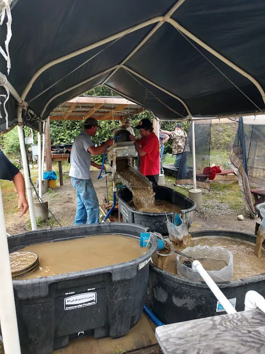 LDMA Scott River Camp Picture 6