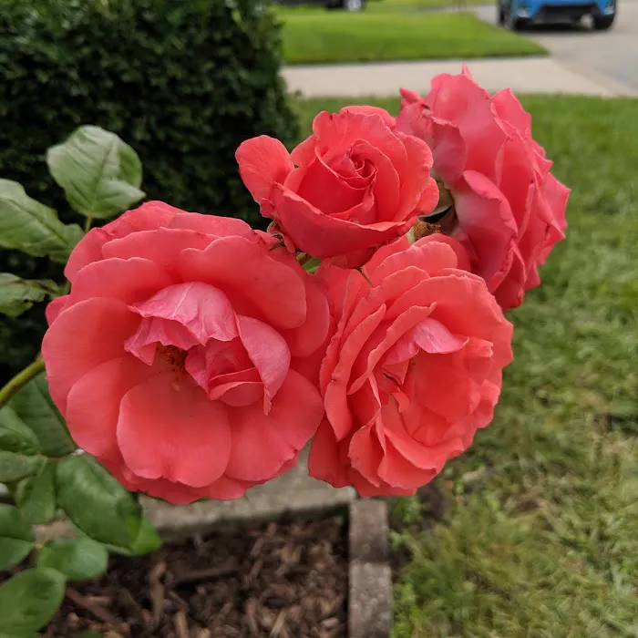 Crouse Mobile Home Park & Sales LLC Picture 10