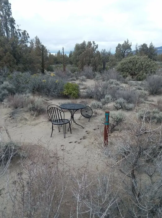 Blue Juniper Camping Grounds Picture 4