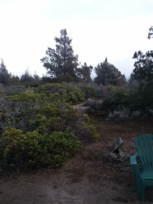 Blue Juniper Camping Grounds Picture 1