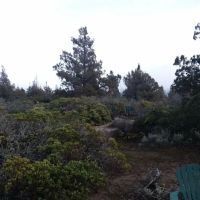 Blue Juniper Camping Grounds ico