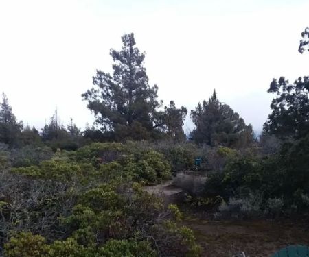 Blue Juniper Camping Grounds