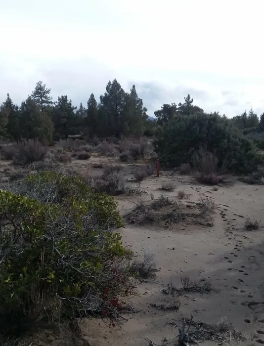 Blue Juniper Camping Grounds Picture 2