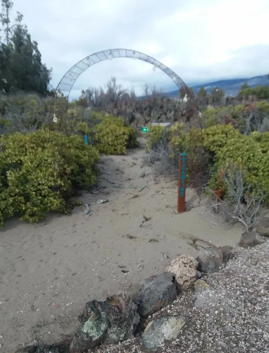 Blue Juniper Camping Grounds Picture 6