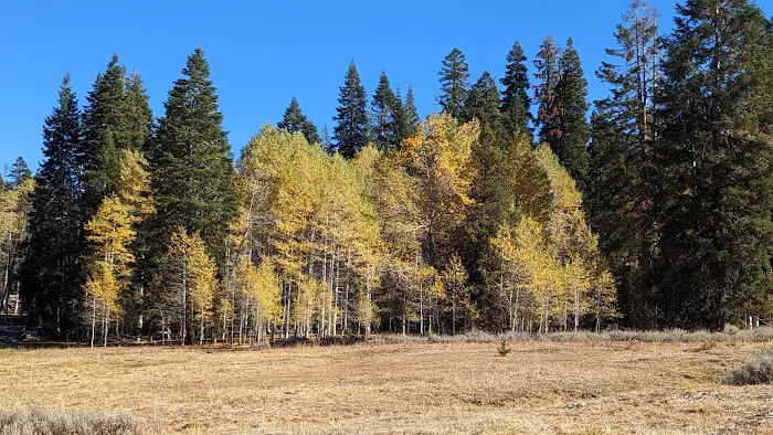 Martin's Dairy Campground Picture 6