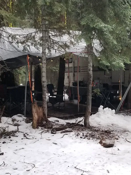 Martin's Dairy Campground Picture 5