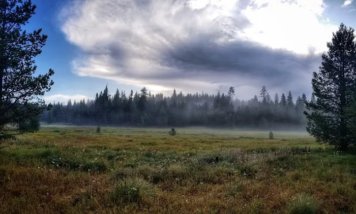 Martin's Dairy Campground Picture 3
