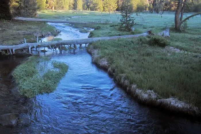 Martin's Dairy Campground Picture 1