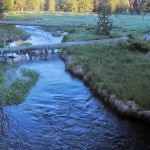 Martin's Dairy Campground