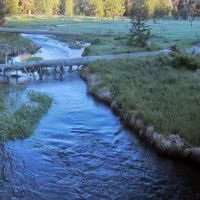 Martin's Dairy Campground ico
