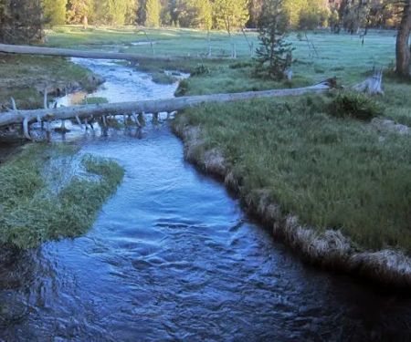 Martin's Dairy Campground
