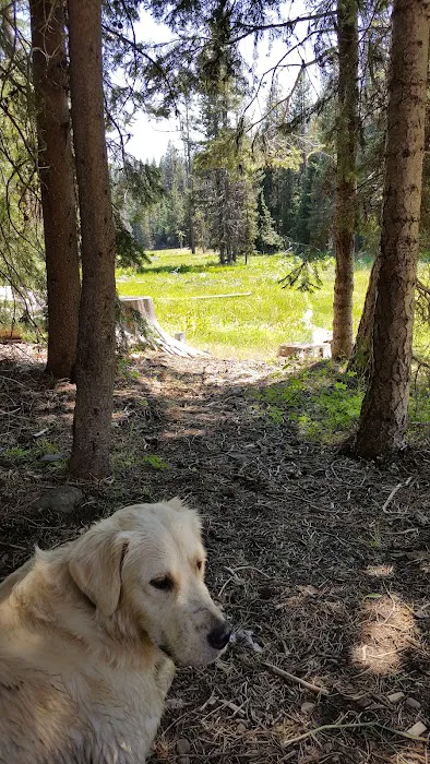 Martin's Dairy Campground Picture 10