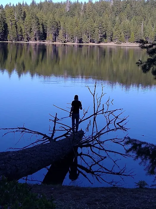 Juanita Lake Campground-Macdoel Picture 8